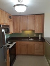 1636 N Wells St, Unit 3102 in Chicago, IL - Building Photo - Building Photo