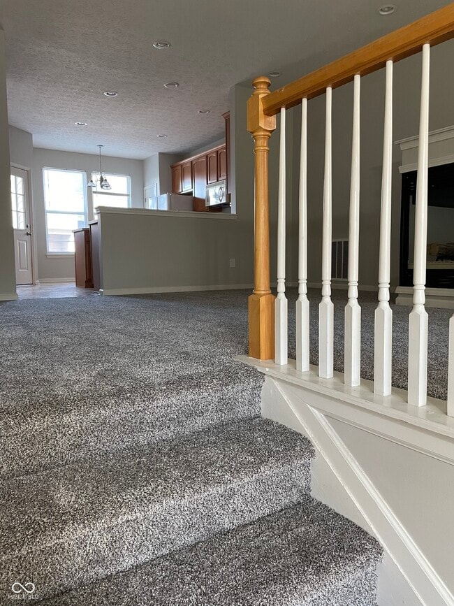 13869 Willesden Cir in Fishers, IN - Building Photo - Building Photo