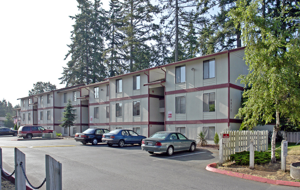 Springtree Apartments in Lakewood, WA - Building Photo