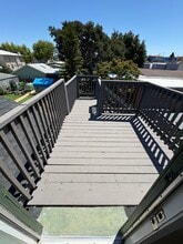 706 Buena Vista Ave, Unit B in Alameda, CA - Building Photo - Building Photo