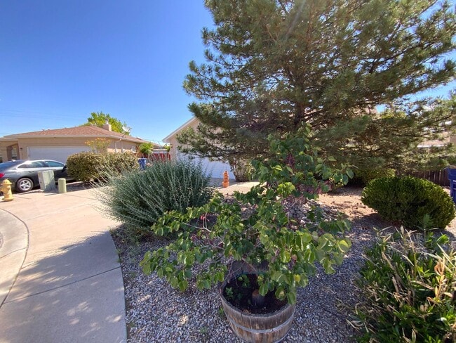 10746 Gemini Ct NW in Albuquerque, NM - Building Photo - Building Photo