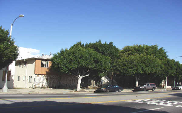 1915 W Florence Ave in Los Angeles, CA - Building Photo