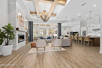 243 Old Bluff Dr in Nocatee, FL - Building Photo - Building Photo