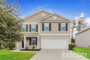 3707 Alexander Forest Dr in Charlotte, NC - Building Photo