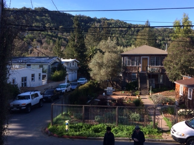 47 Belle Ave in Fairfax, CA - Building Photo - Building Photo