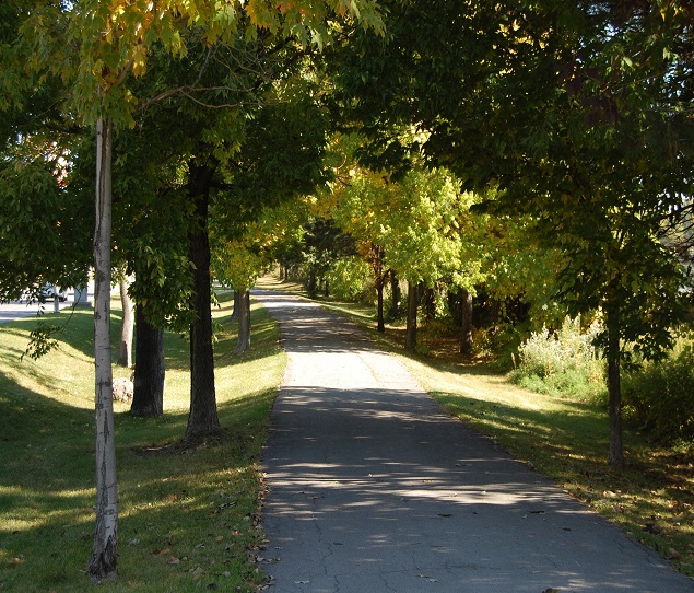 Apartamentos Alquiler en Susan B Anthony, NY