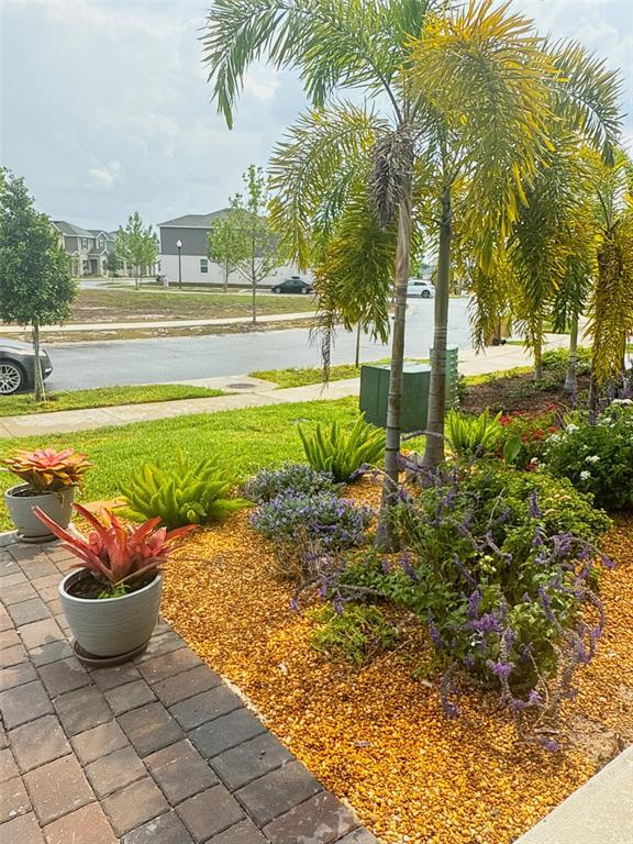 6488 Needle Wy in St. Cloud, FL - Building Photo - Building Photo