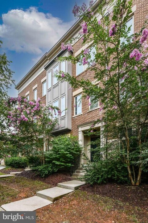 42244 Bliss Terrace in Ashburn, VA - Building Photo