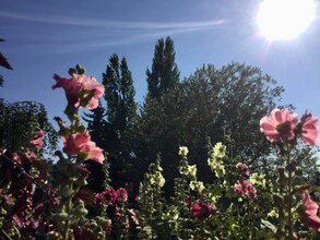 150 Claffey Dr in Polson, MT - Foto de edificio - Building Photo