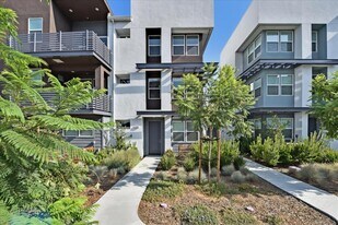 536 Clover Cir in Milpitas, CA - Building Photo