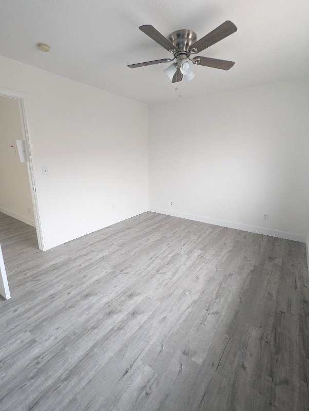 927 Freeman Ave in Long Beach, CA - Foto de edificio - Building Photo