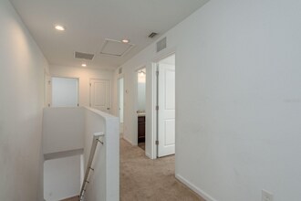 34847 Daisy Meadow Loop in Zephyrhills, FL - Building Photo - Building Photo