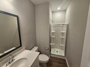 1077 Flat Coat Ln in Chapin, SC - Building Photo - Building Photo