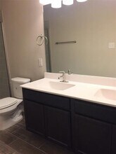 1057 Sierra Vista Ct in Midlothian, TX - Building Photo - Building Photo