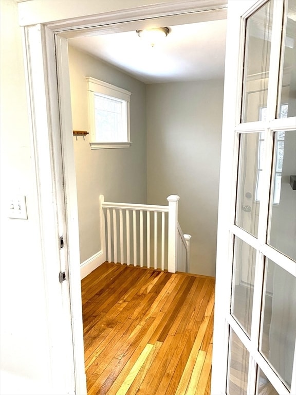 281 Belgrade Ave in Boston, MA - Building Photo - Building Photo