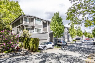 ViewPoint Apartments