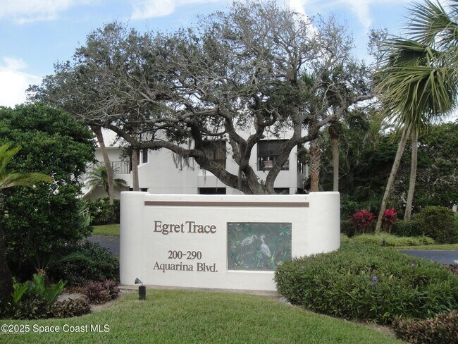 272 Aquarina Blvd in Melbourne Beach, FL - Building Photo - Building Photo