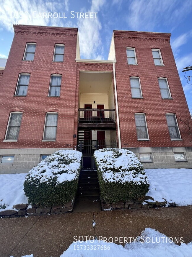 property at 1050 Carroll St