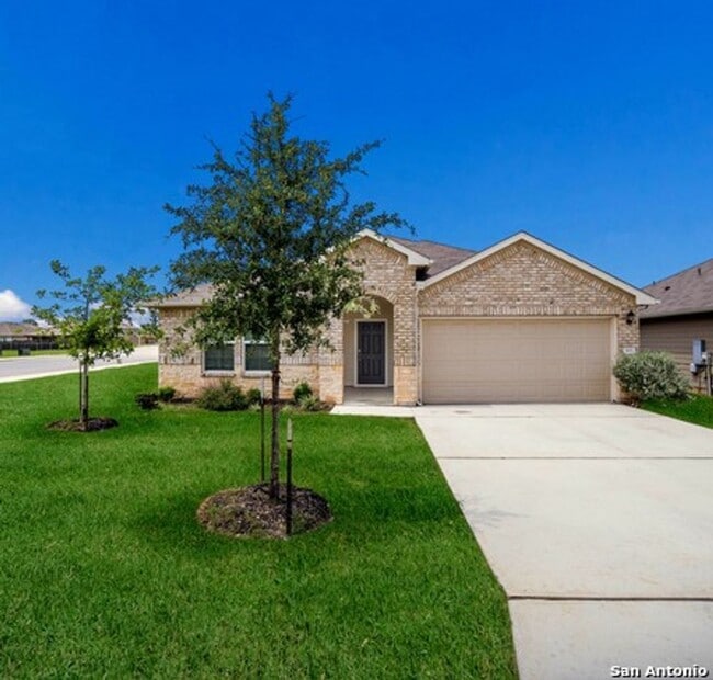 property at 801 Nodding Nixie