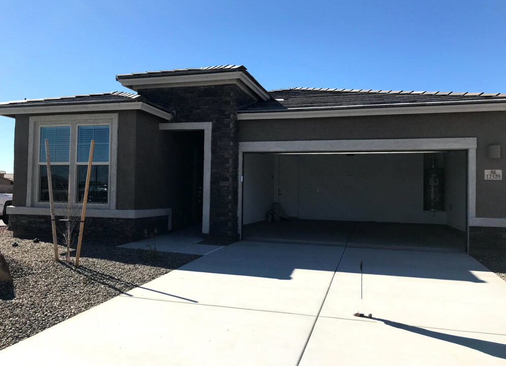 12329 N Larisa Dr in Marana, AZ - Building Photo