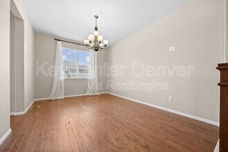 6420 Agave Ave in Castle Rock, CO - Building Photo - Building Photo