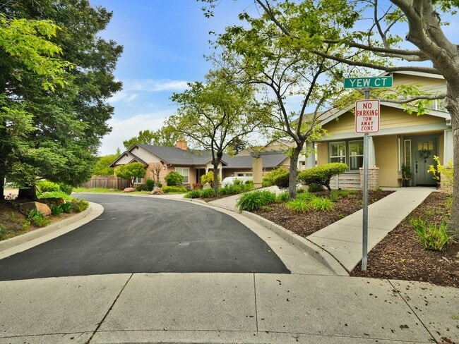 12 Yew Ct in San Rafael, CA - Building Photo - Building Photo