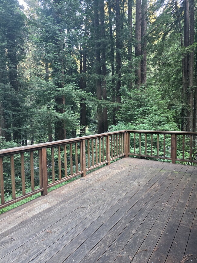 property at 244 Madrone Dr