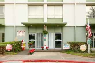 Beall Village in Houston, TX - Foto de edificio - Building Photo