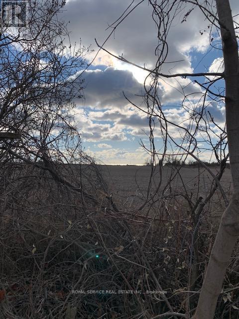 1037 Arthur St in Newcastle, ON - Building Photo - Building Photo