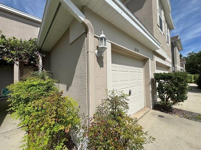 10130 Tranquility Way in Tampa, FL - Building Photo - Building Photo