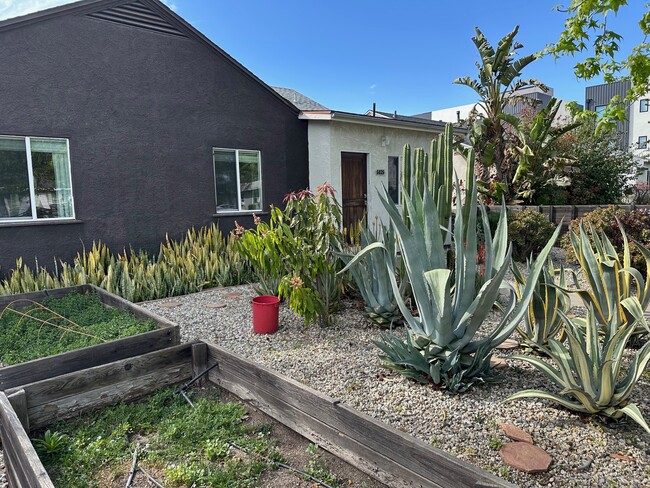 5825 Kester Ave in Van Nuys, CA - Foto de edificio - Building Photo