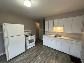 1245 Euclid Ave SE in Grand Rapids, MI - Building Photo - Building Photo
