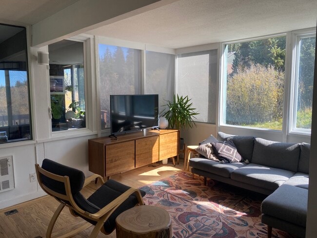 136 Lance Ln in Breckenridge, CO - Building Photo - Building Photo