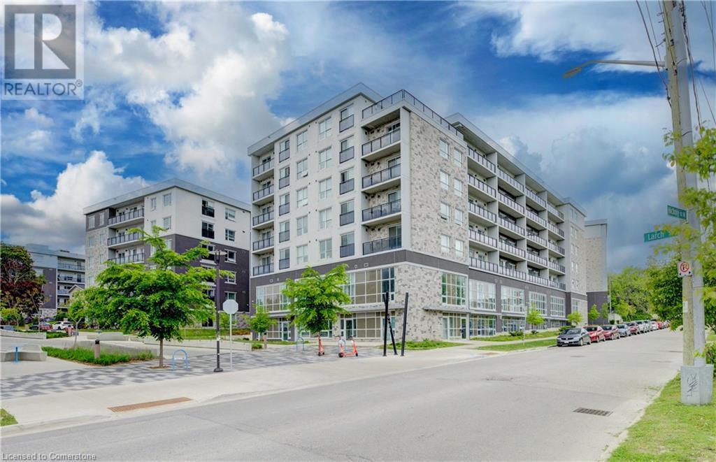 275 Larch St in Waterloo, ON - Building Photo
