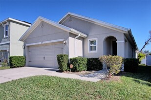 117 Lacewing Pl in Valrico, FL - Building Photo