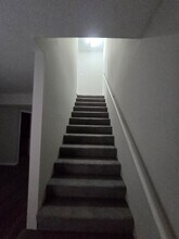 106-108 Albany Dr in Columbia, MO - Foto de edificio - Building Photo