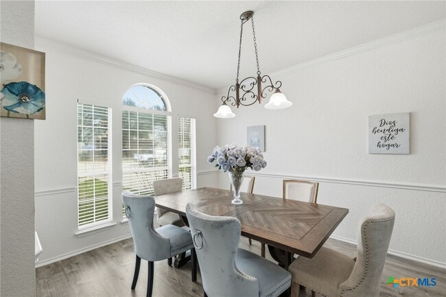 1410 Katie Lynch Dr in Pflugerville, TX - Building Photo - Building Photo