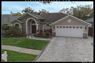 3704 Cypress Meadows Rd in Tampa, FL - Building Photo