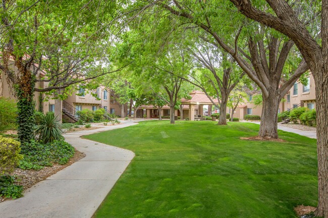 Cinnamon Tree in Albuquerque, NM - Foto de edificio - Building Photo