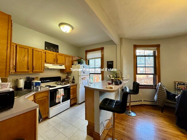 95 E Brookline St, Unit 3 in Boston, MA - Building Photo - Building Photo