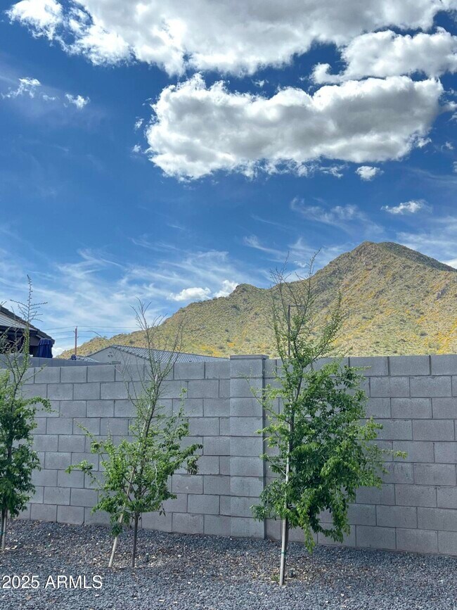 4625 Stonecrop Dr in San Tan Valley, AZ - Building Photo - Building Photo