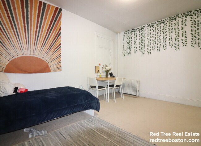 238 Hemenway St, Unit 9 in Boston, MA - Foto de edificio - Building Photo