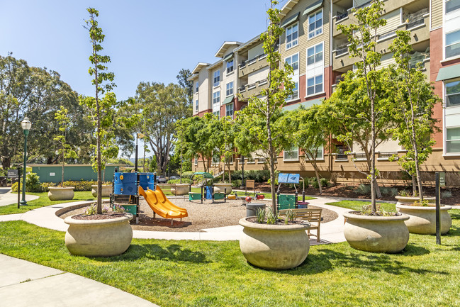 Acappella in San Bruno, CA - Foto de edificio - Building Photo