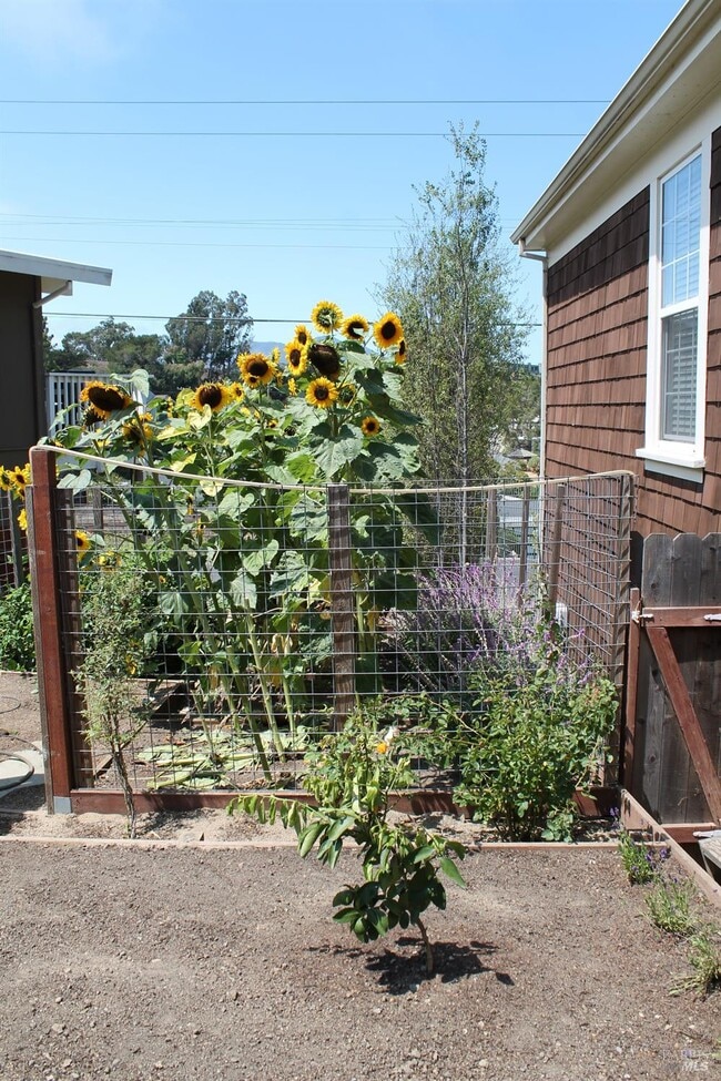 property at 689 Butte St