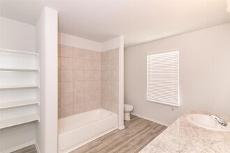 24319 Borelli Dr in Katy, TX - Building Photo - Building Photo