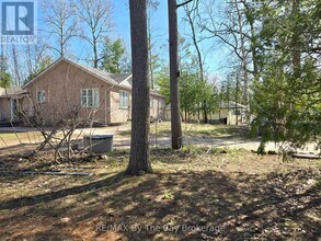 31 Forest Ave in Wasaga Beach, ON - Building Photo - Building Photo