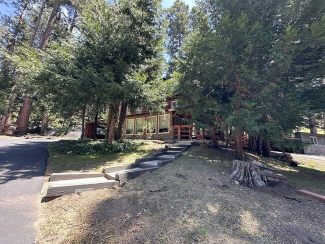 55045 Strong Dr in Idyllwild, CA - Building Photo - Building Photo