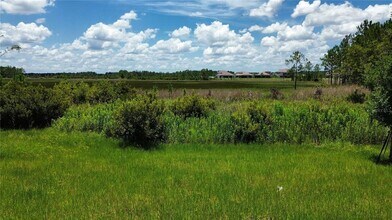 35436 Big Hawk Dr in Zephyrhills, FL - Building Photo - Building Photo