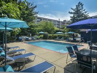 Outdoor Pool - Bridgeview Apartments in Allentown, Pennsylvania