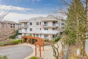 12206 224 St in Maple Ridge, BC - Building Photo